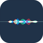 信息霍亂時期的愛情遊戲下載