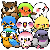 鳥鳥人生手機版