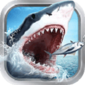 全民釣魚安裝包