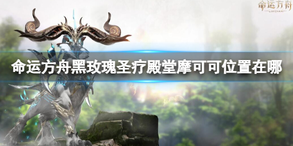 《命運方舟》黑玫瑰聖療殿堂摩可可位置攻略