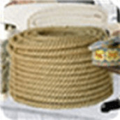 偵探小組免費正版