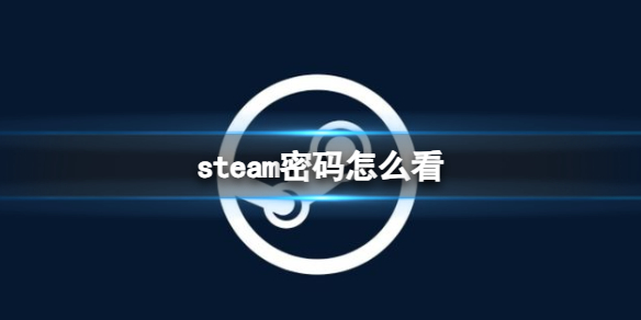 《steam》密碼查看方法