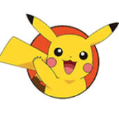 海龜寶可夢安裝