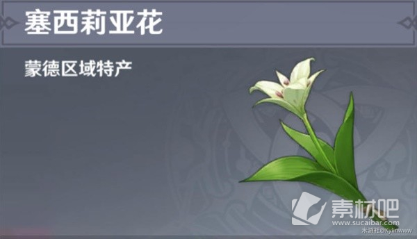 原神機關轟鳴中活動攻略原神機關轟鳴中活動介紹