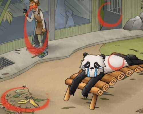 你是不是蝦熊貓回家怎麽過