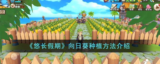 《悠長假期》向日葵種植方法介紹