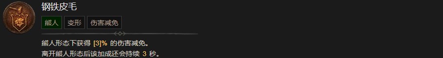 《暗黑破壞神4》鋼鐵皮毛技能有什麽效果