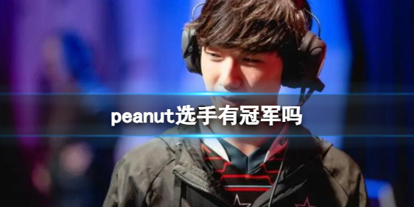 《英雄聯盟》peanut選手獲得冠軍一覽