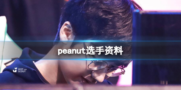 《英雄聯盟》peanut選手資料一覽