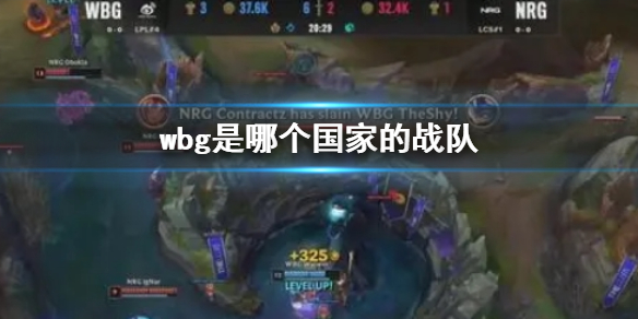 《lol》wbg戰隊國家介紹
