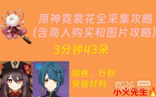 原神4.1版本霓裳花采集路線一覽