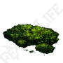 艾爾登法環洞窟苔藓獲取方法