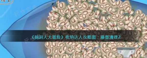 《腦洞人大冒險》收納達人藤壺清理2怎麽過?洞人大冒險收納達人藤壺清理2通關攻略