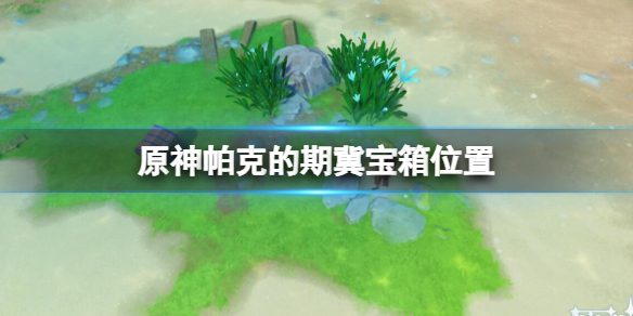《原神》帕克的期冀寶箱位置