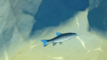 原神藍鳍鲈魚在哪