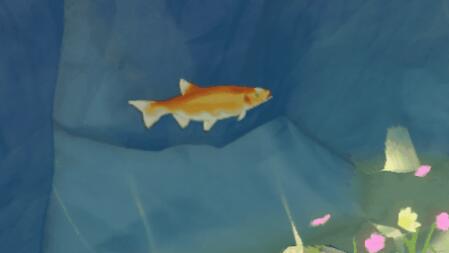 原神黃金鲈魚在哪