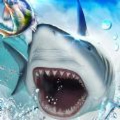 我的釣魚之旅遊戲下載
