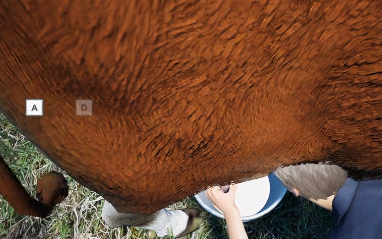 《牧場模擬器》制作奶酪方法