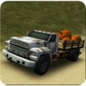 DirtRoadTrucker遊戲下載