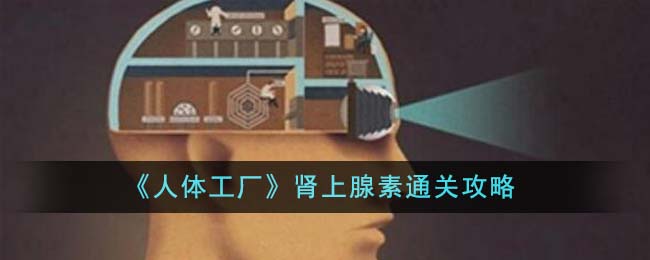 《人體工廠》腎上腺素通關攻略