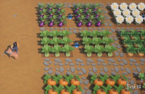 《珊瑚島》農場裏有些草清理不掉解決方法