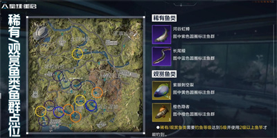 《星球重啓》稀有魚在哪釣