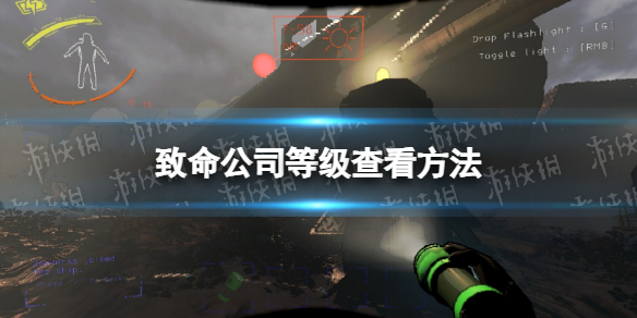 《致命公司》等級怎麽看?