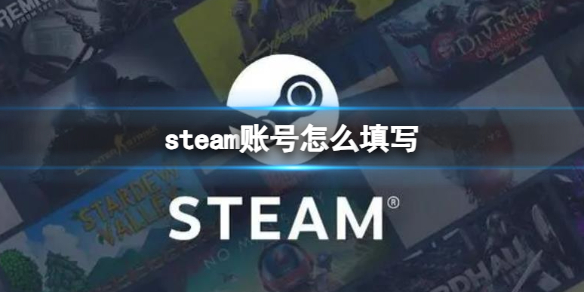 《steam》賬號填寫介紹