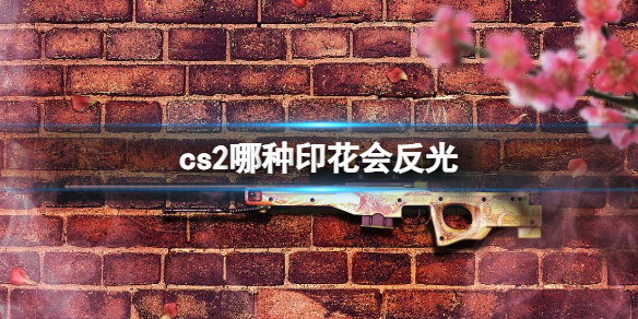 《cs2》會反光印花介紹
