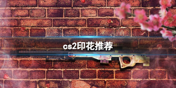 《cs2》印花推薦介紹