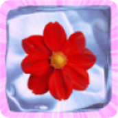 IcyFlower正式版