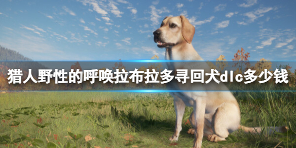 《獵人野性的呼喚》拉布拉多尋回犬dlc價格及內容一覽