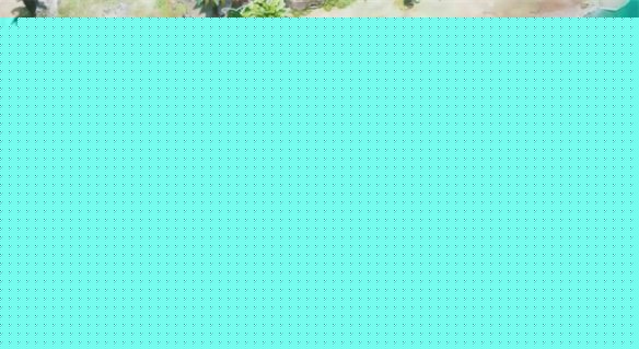 《影子詭局被詛咒的海盜》內瑞特梅瑞什雙子島徽章介紹