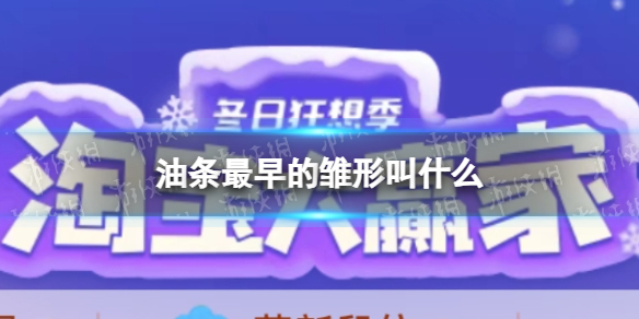 油條最早的雛形叫什麽淘寶大贏家今日答案12.3