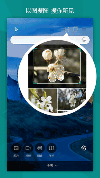 bing國際版安卓app