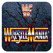 WWF瘋狂摔角聯機版
