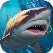 釣魚沖突狂野下載安裝