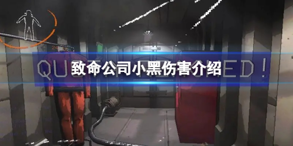 《致命公司》小黑傷害介紹