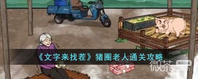 文字來找茬豬圈老人通關攻略一覽