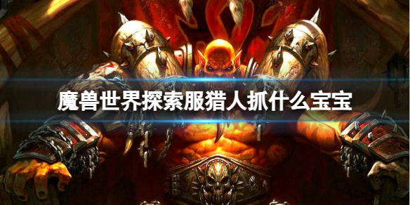 《魔獸世界》探索服獵人抓寶寶推薦