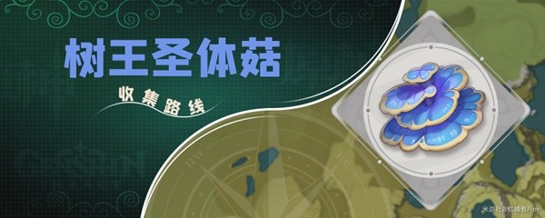 《原神》流浪者突破材料樹王聖體菇收集策略