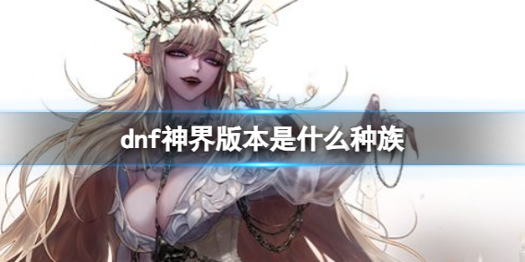 《dnf》神界版本種族介紹