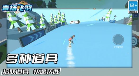 青揚飛羽