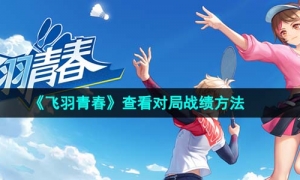 《飛羽青春》查看對局戰績方法