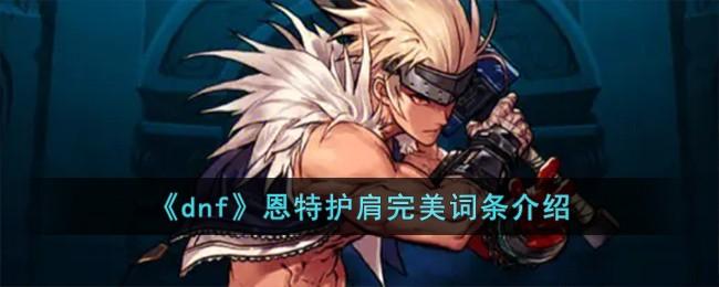 dnf恩特護肩完美詞條如何樣