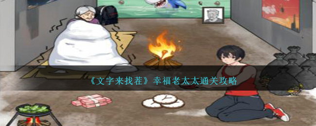 《文字來找茬》幸福老太太通關攻略