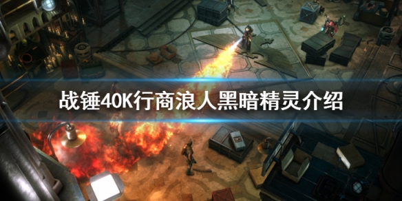 《戰錘40K行商浪人》黑暗精靈介紹