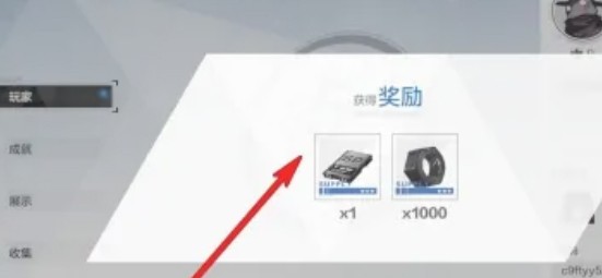 戰雙帕彌什