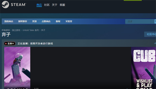 《棄子》遊戲登錄平台介紹