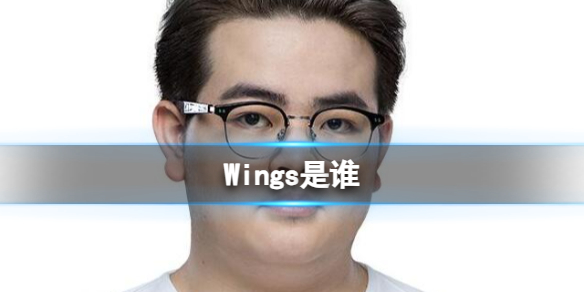 《英雄聯盟》Wings選手介紹